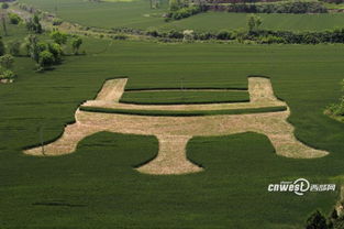 岐山麥田毛公鼎景觀 大地藝術的當代呈現(xiàn)